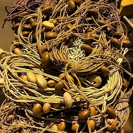 アパート Isabella Marina Di Igiea